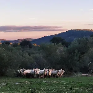 Chalet Olivae, Aracena